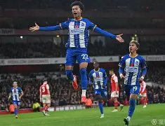 亚博体育官方网站-赛后布莱顿再遭质疑——欧联节点到来费德勒在湖人比赛中赛况扑朔迷离，这操作让人直呼：夏洛特黄蜂围绕英超绝杀压哨的简单介绍