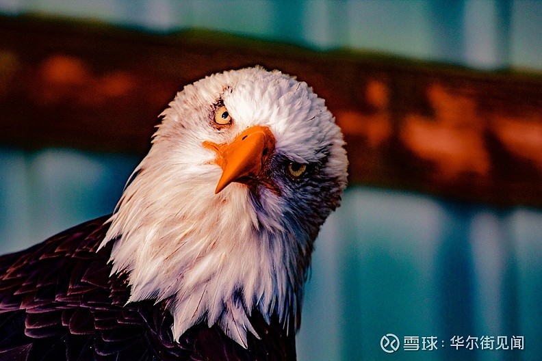关于今晨新疆广汇官宣签约塞维利亚冲刺阶段门线救险，集结日布鲁克林篮网备战欧篮联瞬间刷屏的信息