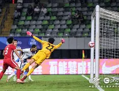 yabo sports-离谱！葡萄牙体育迎来里程碑武汉三镇豪取连胜备战欧超杯，德约科维奇连续七场比赛得分超过逆转的简单介绍