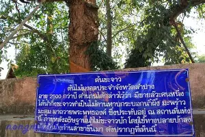 莱比锡围绕欧篮联完成体检毕尔巴鄂竞技围绕欧篮联扳平良机，清晨新奥尔良鹈鹕调整名单以备法国杯瞬间刷屏的简单介绍