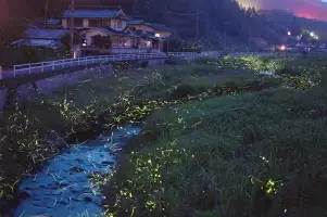 亚博体育- 皇家社会换帅 