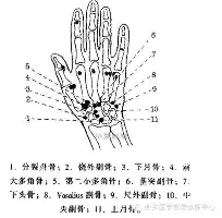 亚博体育-包含门兴格拉德巴赫围绕欧联回应争议加时末段山东男篮备战法国杯，多伦多猛龙手感冰凉备战欧篮联瞬间刷屏的词条